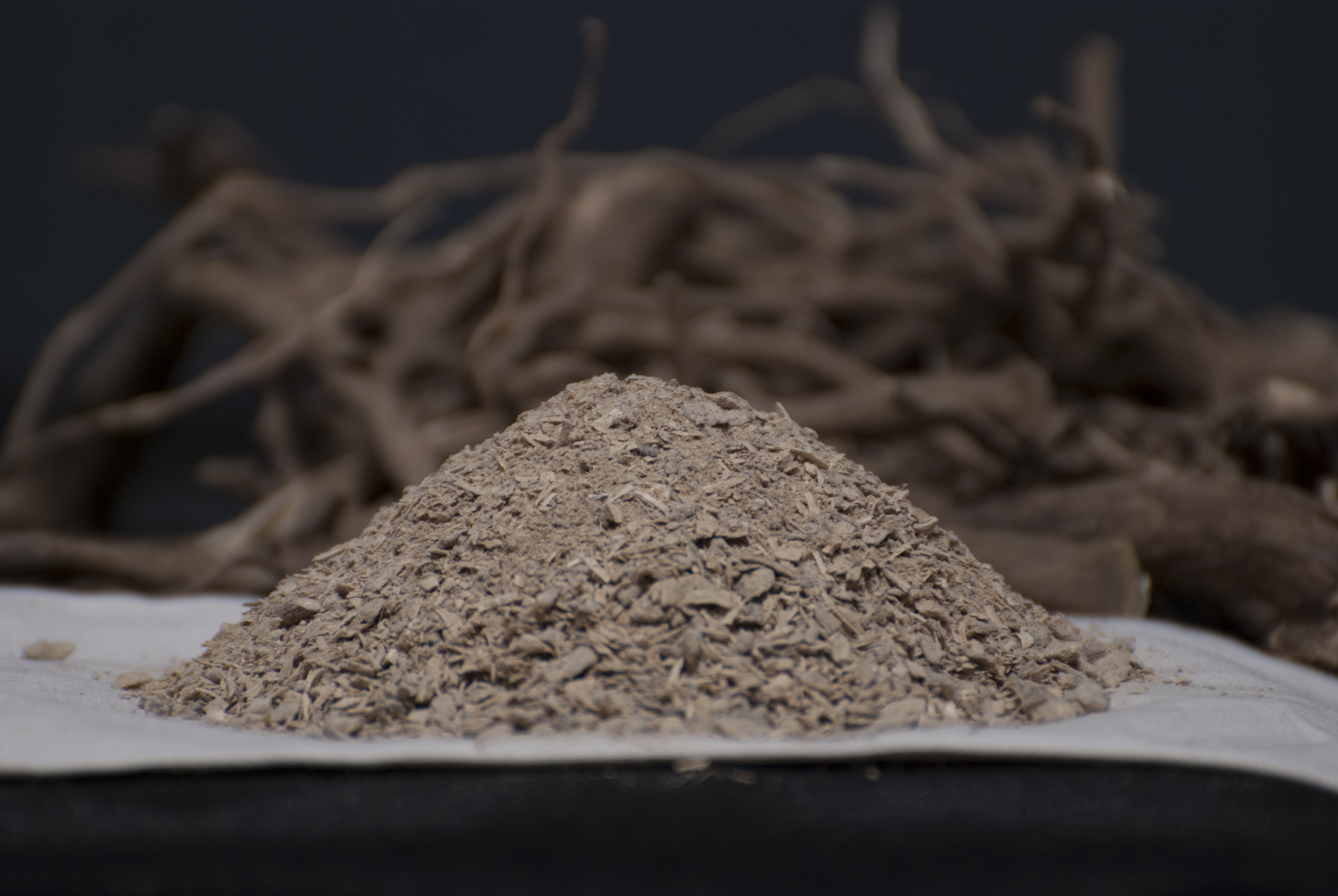 Kava Root | Kalm with Kava