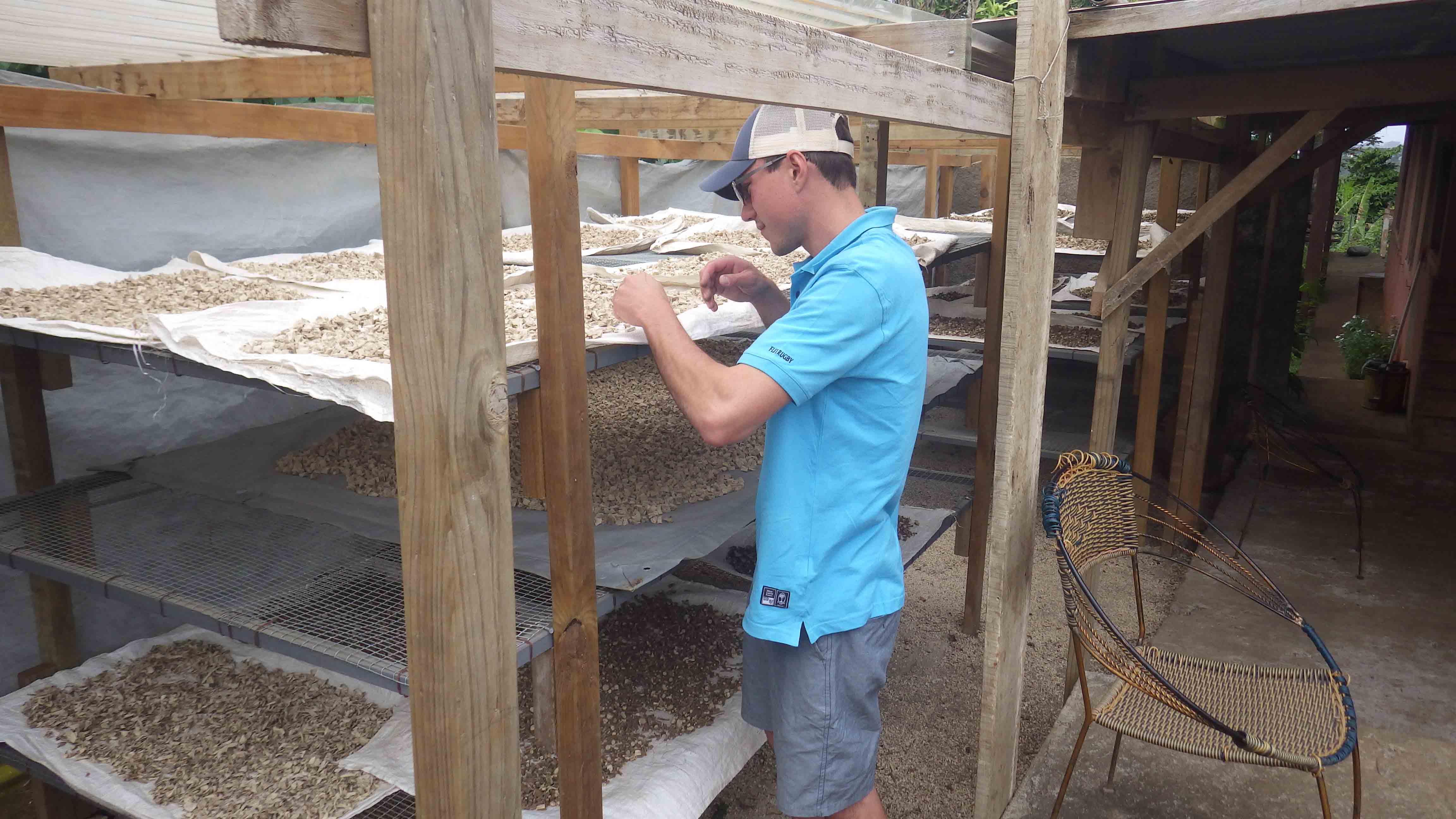 Wholesale Kava KWK Wholesale Kava KWK