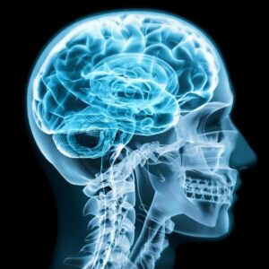 Kava Nootropic