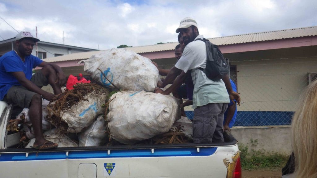 group of Vanuatu men transporting a shipment of kava root