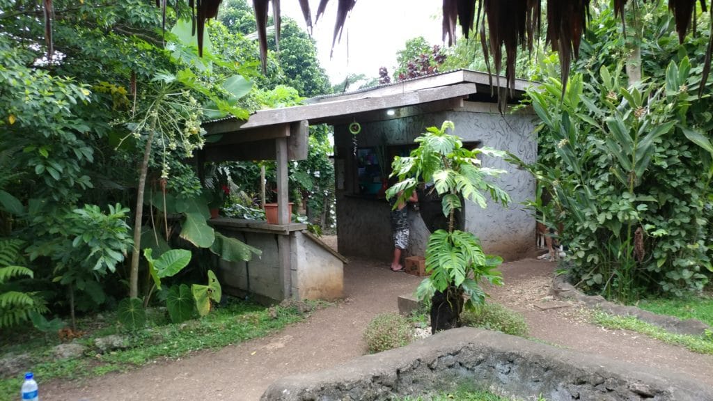 Kava Bar in Vanuatu (Nakamal)