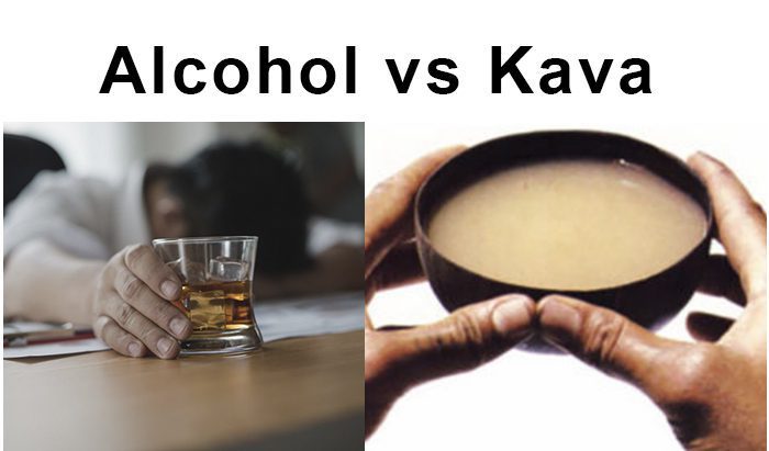 Kava as an Alcohol Alternative | Noble Kava | Kalm with Kava