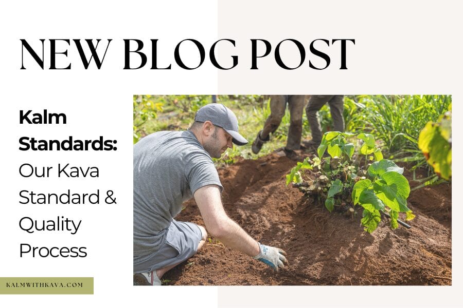 Kalm with Kava Blog - Kalm Standards: Our Kava Standard and Quality Process